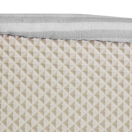 The Swimming Orchid Dottyback